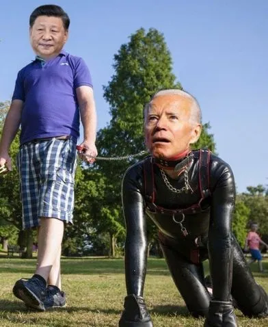 walking the dogsa.webp