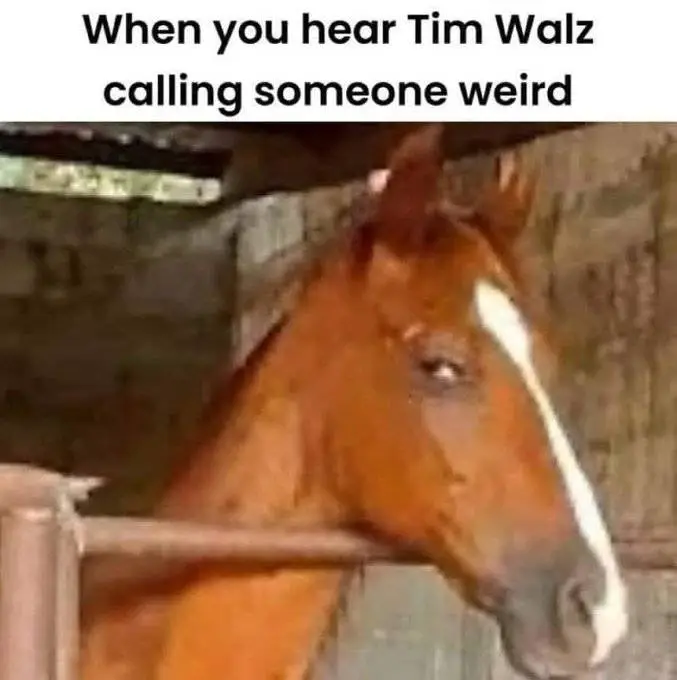 walz weird horse lol.webp