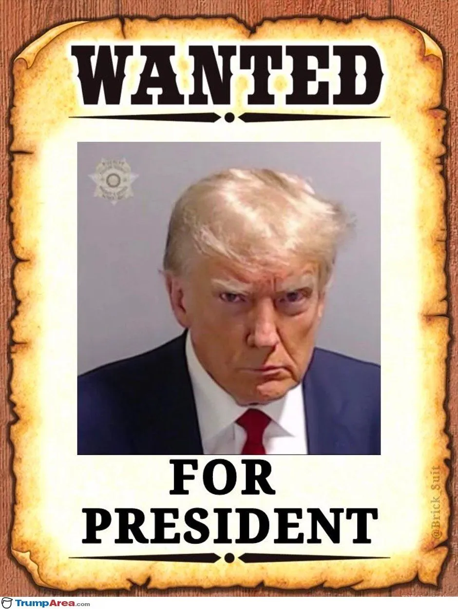 wanted-for-president3525.webp