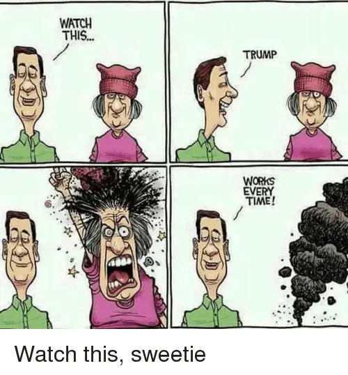 watch-this-trump-works-every-time-watch-this-sweetie-32025240.png
