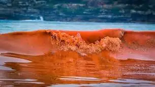 wavepic.webp