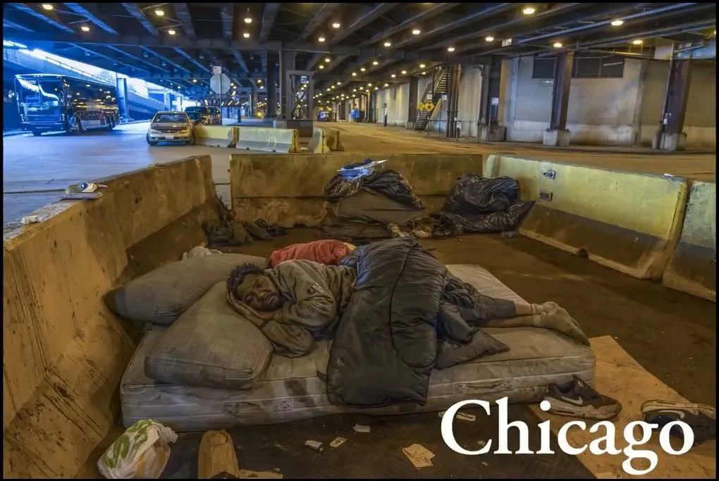 ````We are Democrats5.webp