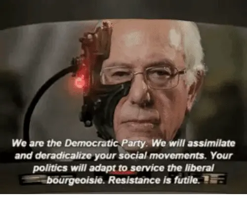 we-are-the-democratic-party-we-will-assimilate-and-deradicalize-6435048.webp