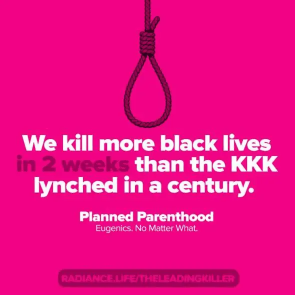We kill more black lives in 2 weeks.webp