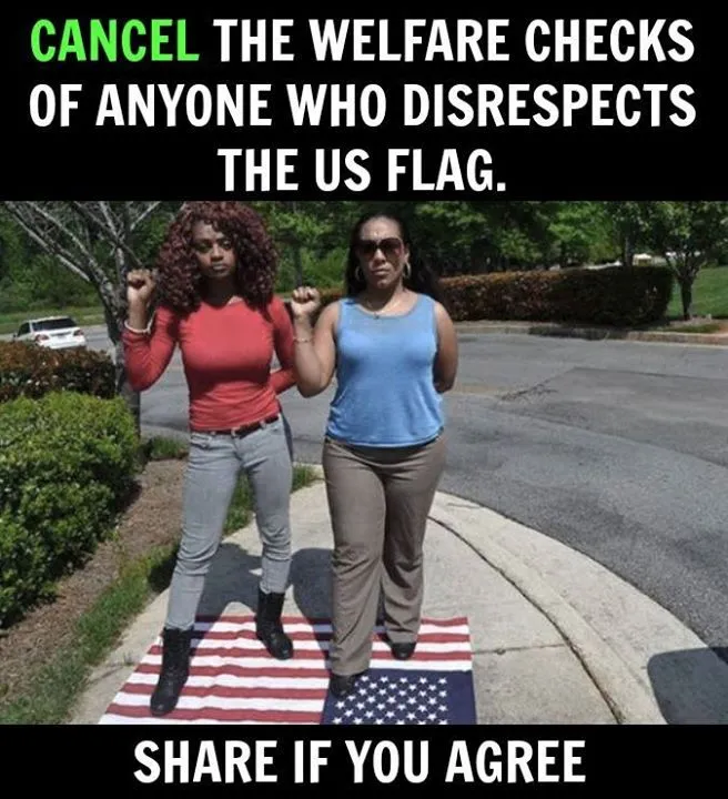 welfare-flag-burners.webp