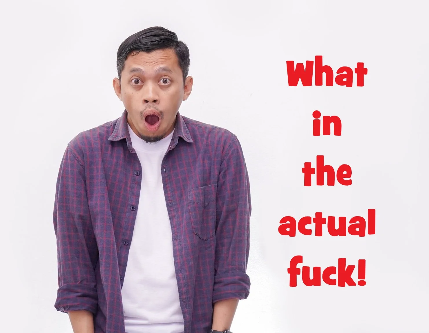 what in the actual fuck.webp