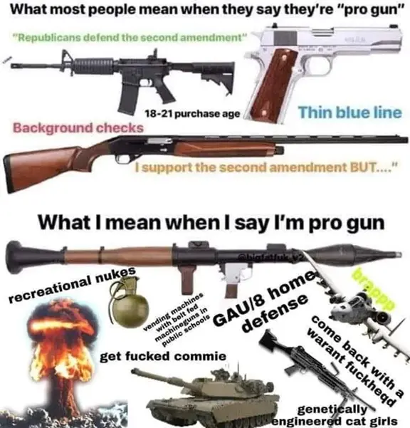 what most people say when theyre pro gun.webp