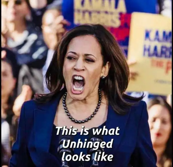 what unhinged looks like.jpg