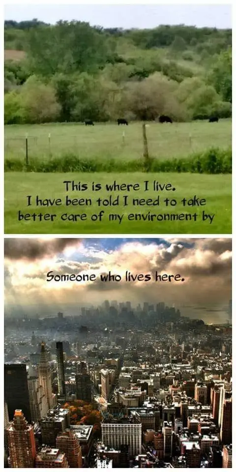 where i live.webp