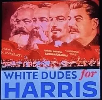 white dudes for harris 004.webp