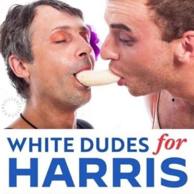 white dudes for harris lolol.webp