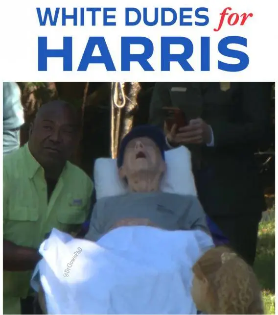 white dudes for kam 2201.webp