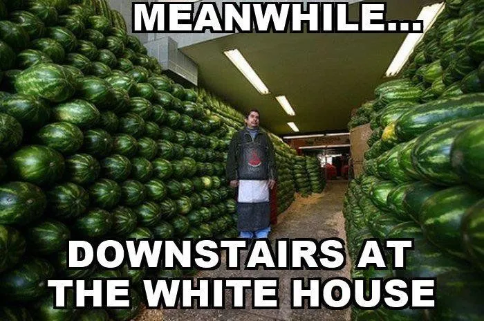 white house basement.webp