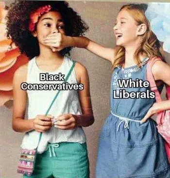 white liberals black conservatives.webp