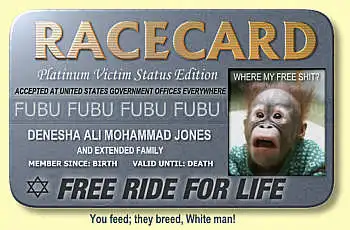 White supremacist 'Race Card'.webp