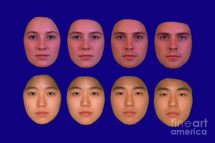 white vs asian.webp