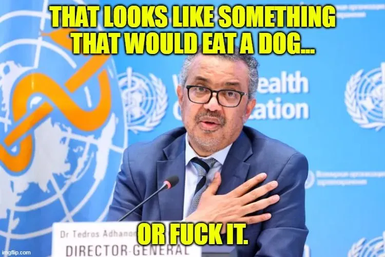 who doctor dog ******.webp