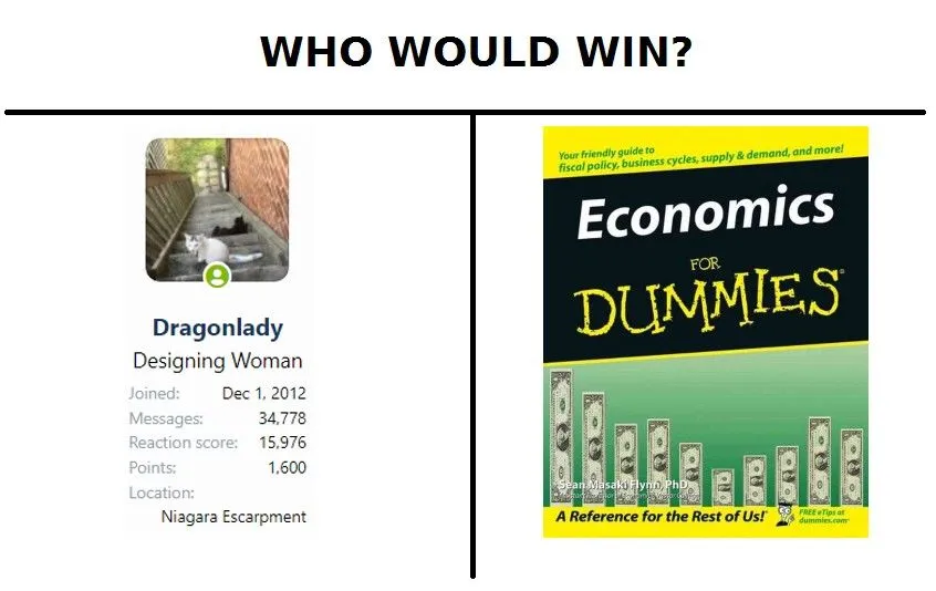 who would win dragonlady or econ for dummies.webp