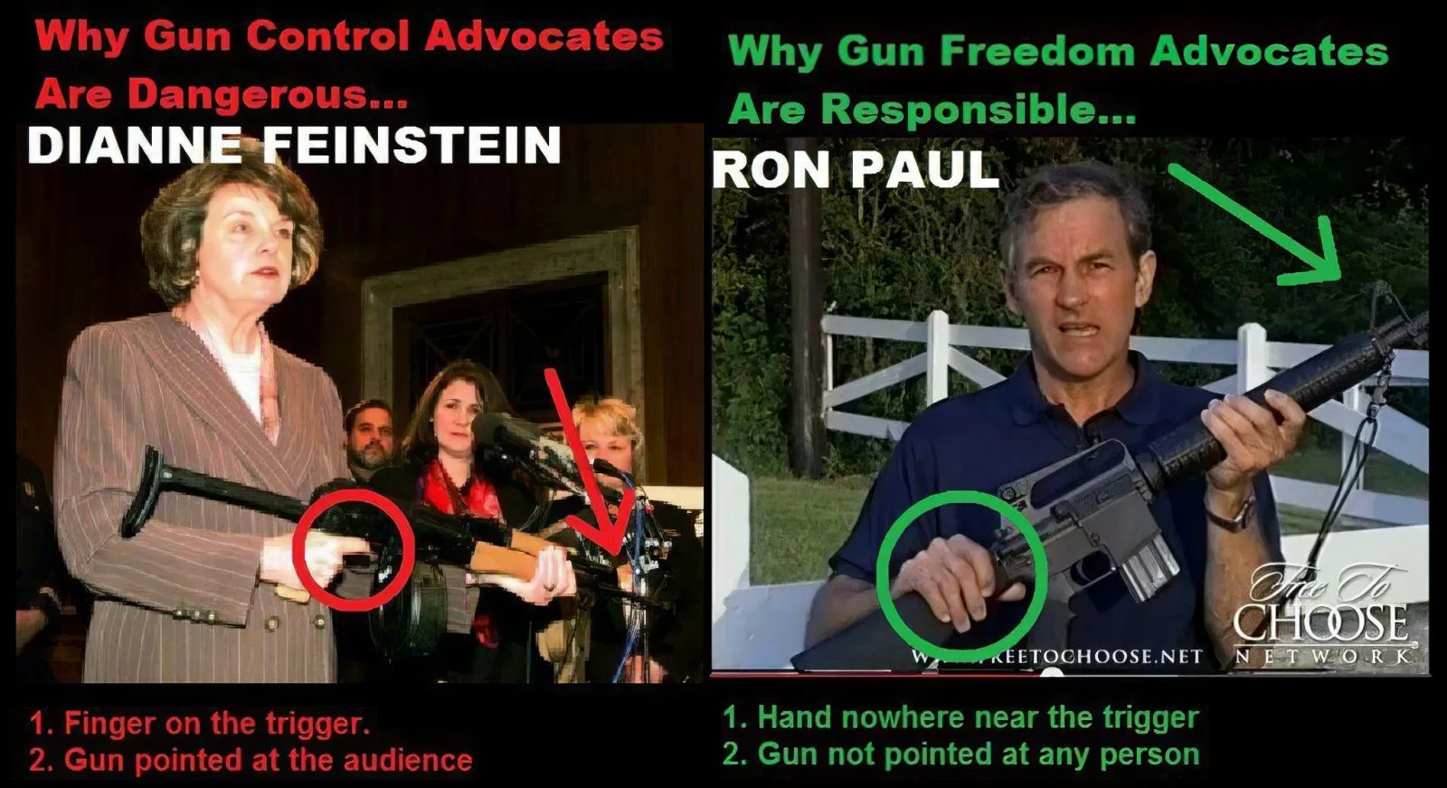 WhyGunControlAdvocatesAreDangerous.webp