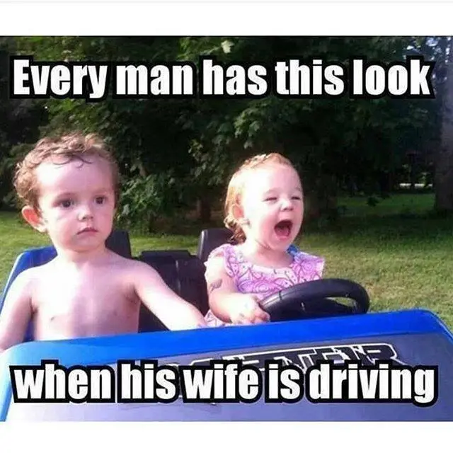 wifedriving.webp