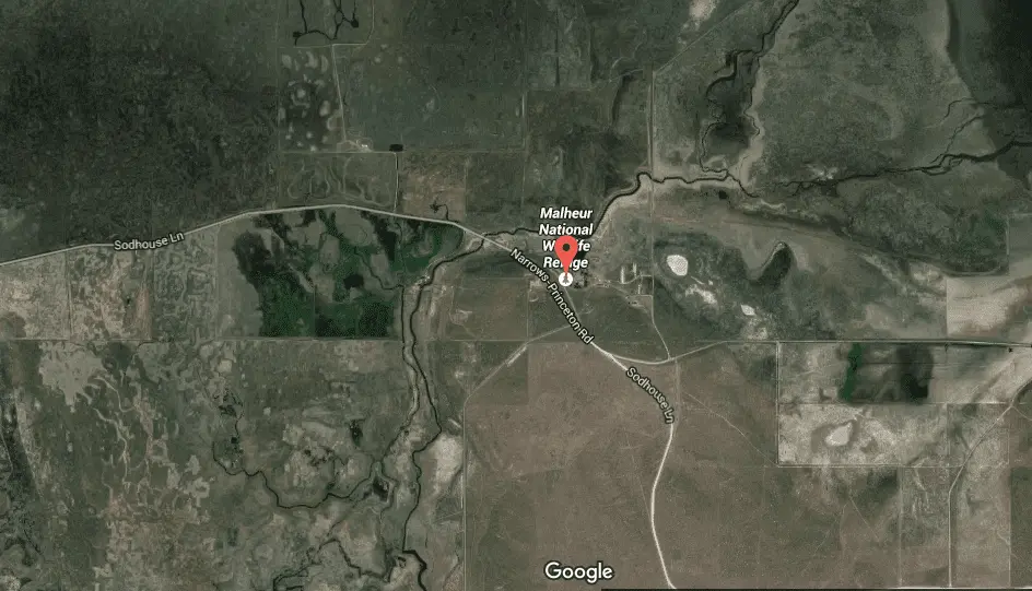 Wildlife refuge.webp