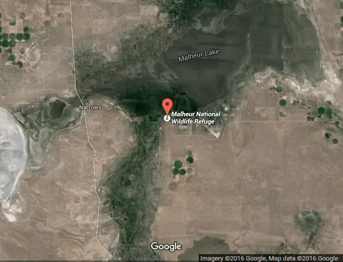 Wildlife refuge.webp