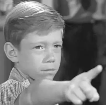 Will Robinson Danger 1.webp