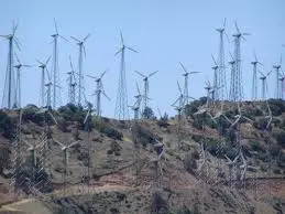 wind blows.webp