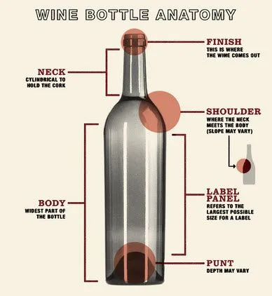 wine-bottle-diagram.webp