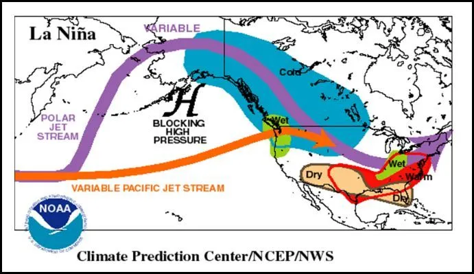 Winter Predicton.webp