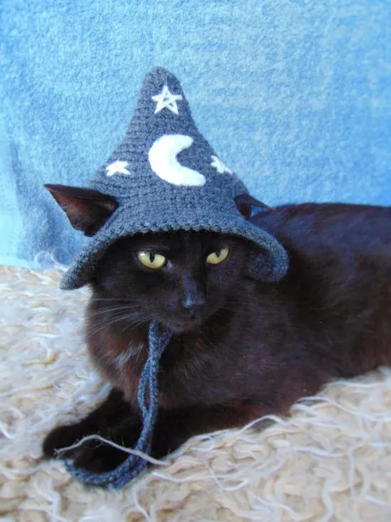 wizard-cat-hat--550x733.webp