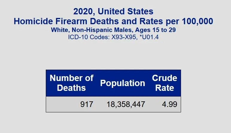 WM1529gun2020.webp