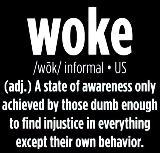 woke meme.webp