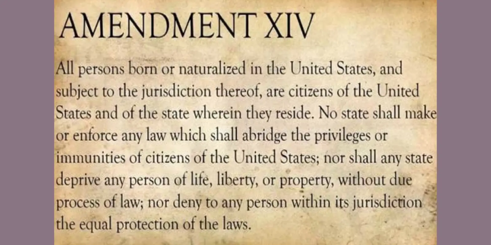 woman-7-14th Amendment  .webp