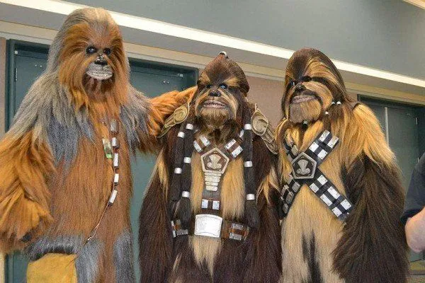 wookiee-workshop-1-600x400.webp