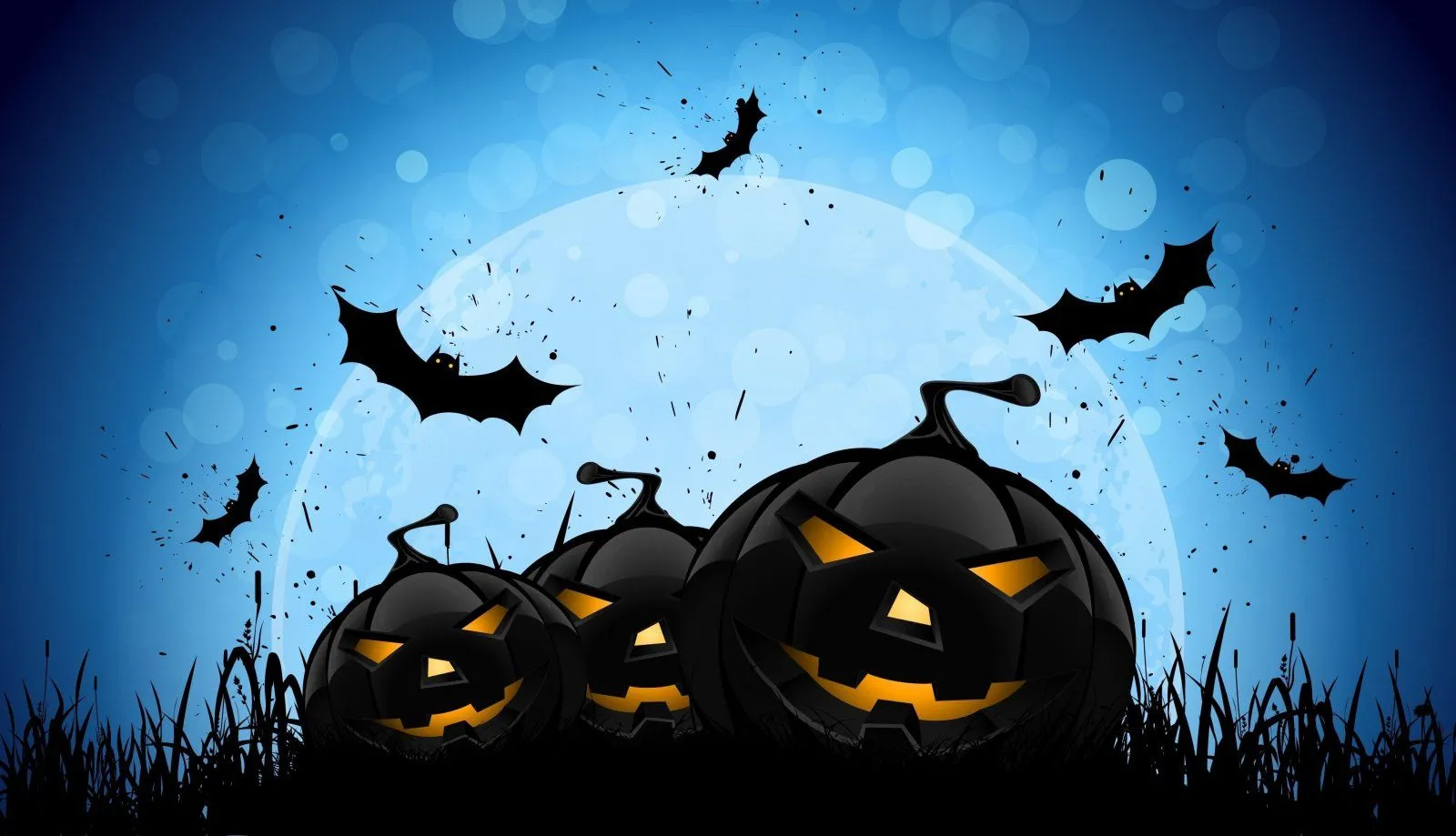 wp4835119.webp