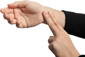 WristPulse_WL1601_ts119438355.webp