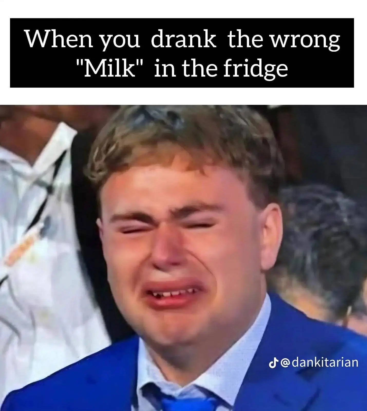 wrong horse milk.webp