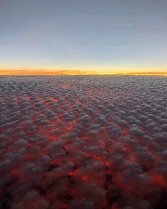 wtf-fires.webp