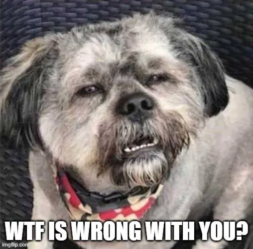 wtf.webp