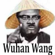 wuhan wang.webp