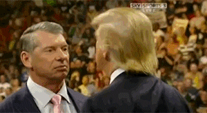 wweslap-154a5a2.gif