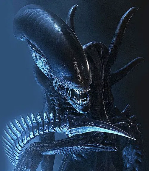 xeno1.webp