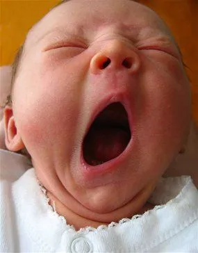 yawn.webp