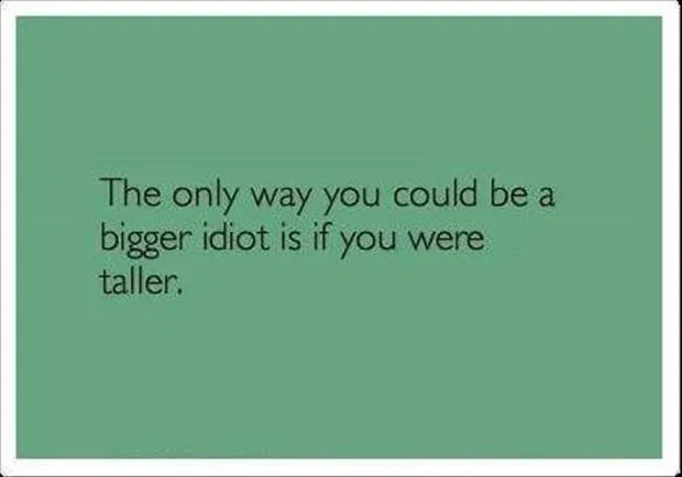 you-are-a-big-idiot.webp