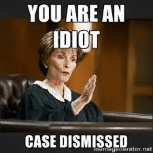 you-are-an-idiot-case-dismissed-urator-net-7672531.webp