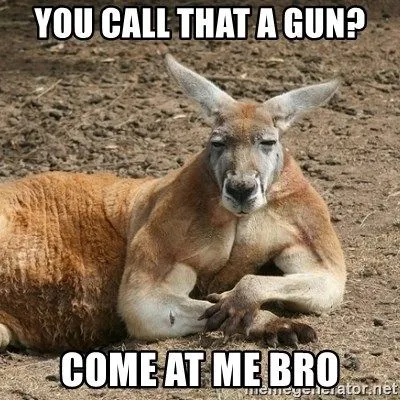 you-call-that-a-gun-come-at-me-bro.webp