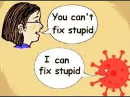 You can't fix stupid.webp