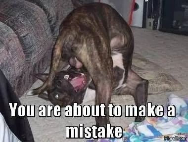you_are_about_to_make_a_mistake.webp