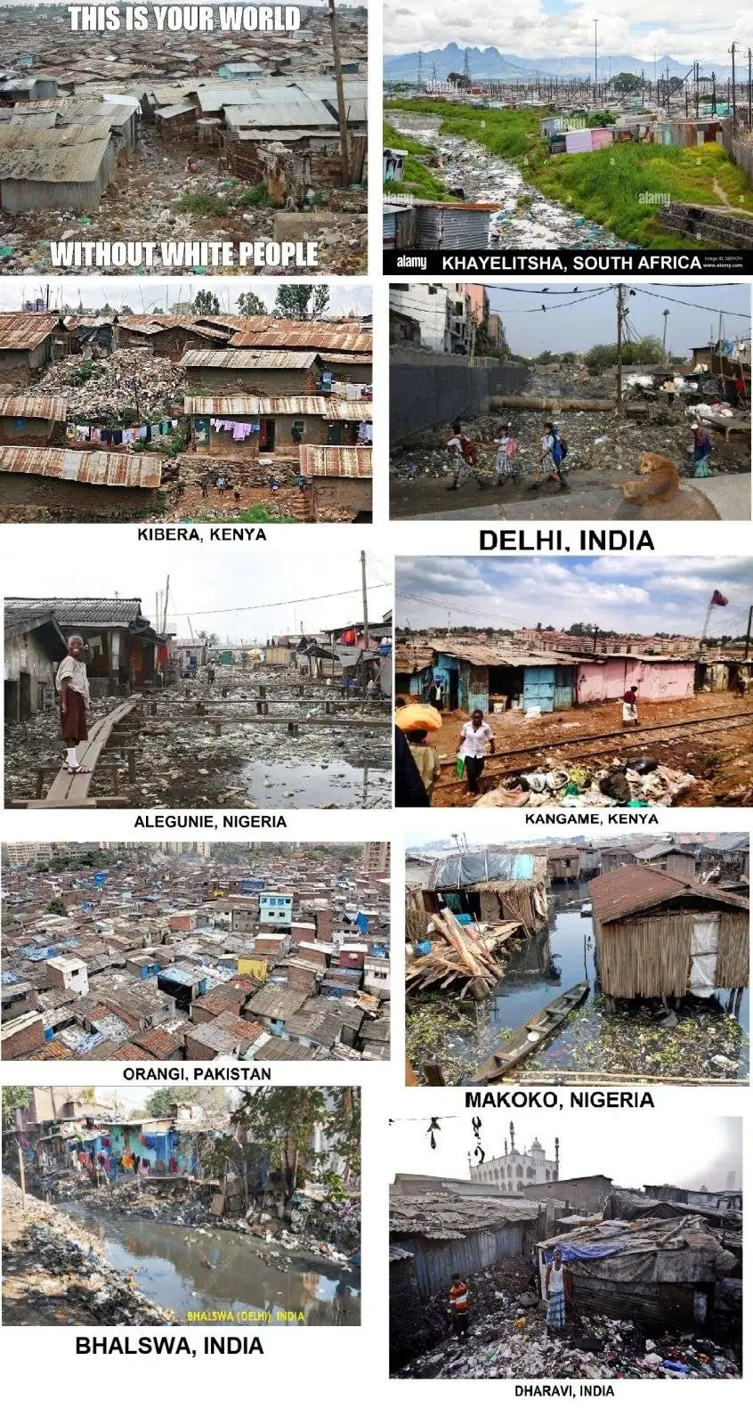 your world without white people.webp